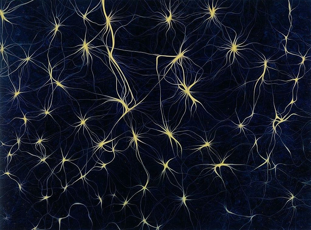 1_René Descartes 1_René Descartes